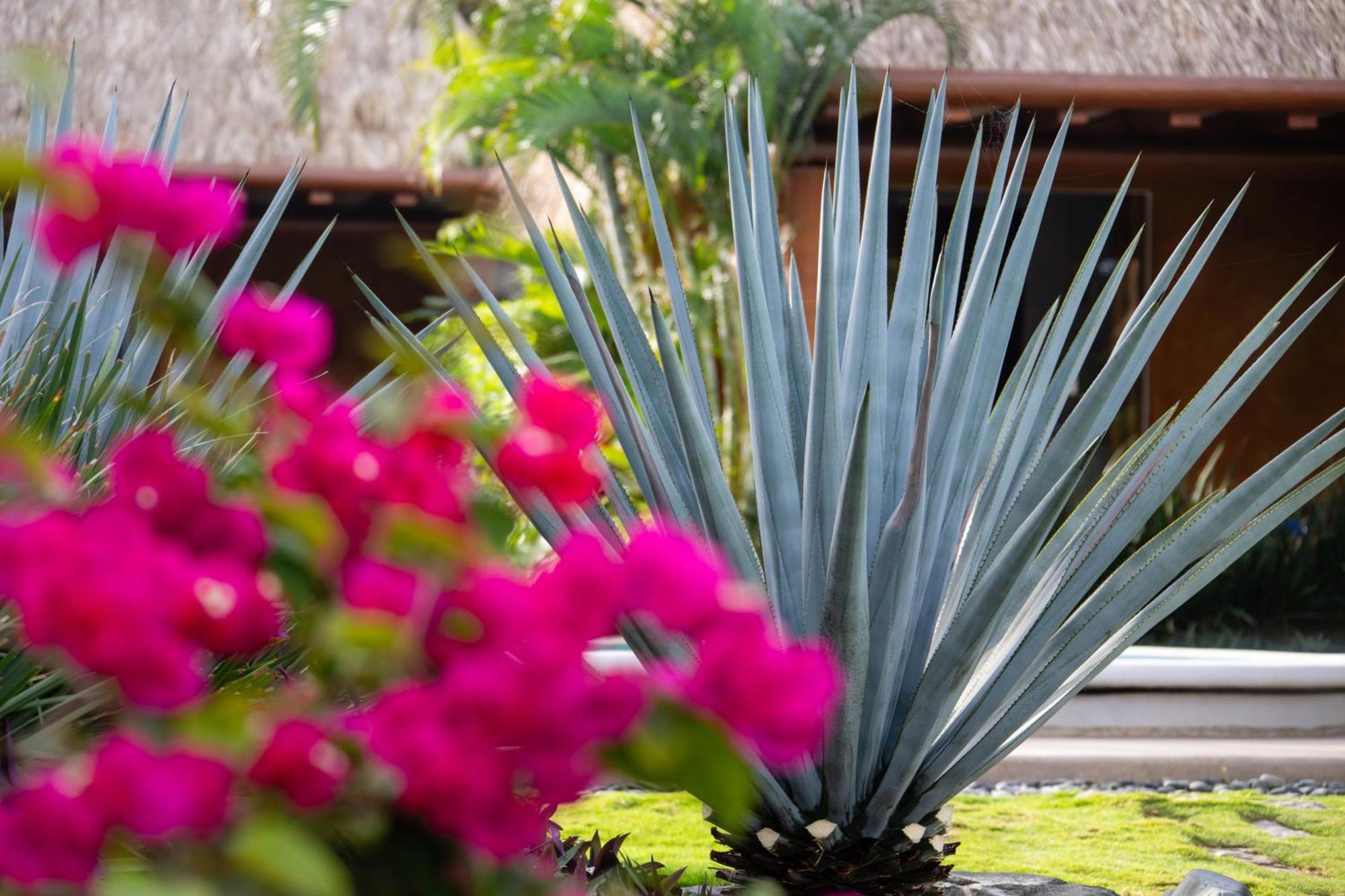The Inn Manzanillo Bay Troncones Zewnętrze zdjęcie